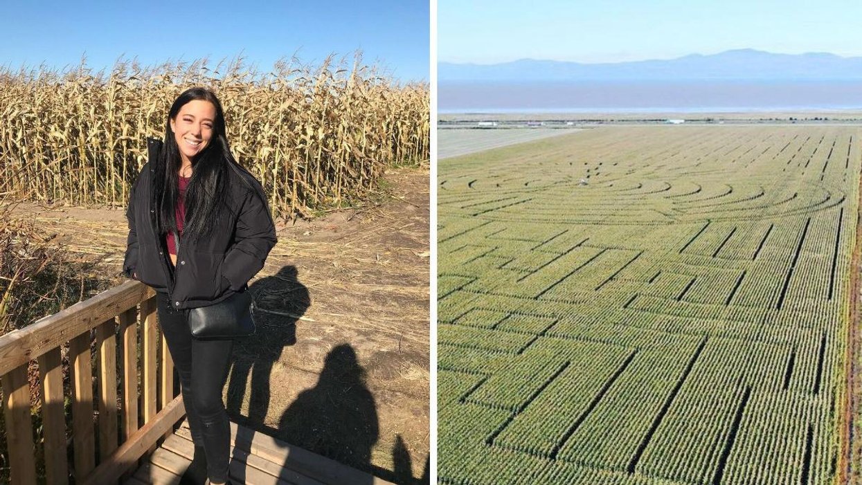 Ce labyrinthe de 21 km à 1h30 de Québec est à mettre sur ta «bucket ...