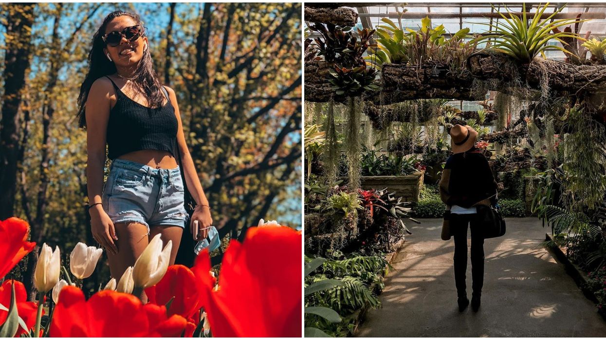 Le Jardin botanique de Montréal va enfin rouvrir ses portes au public