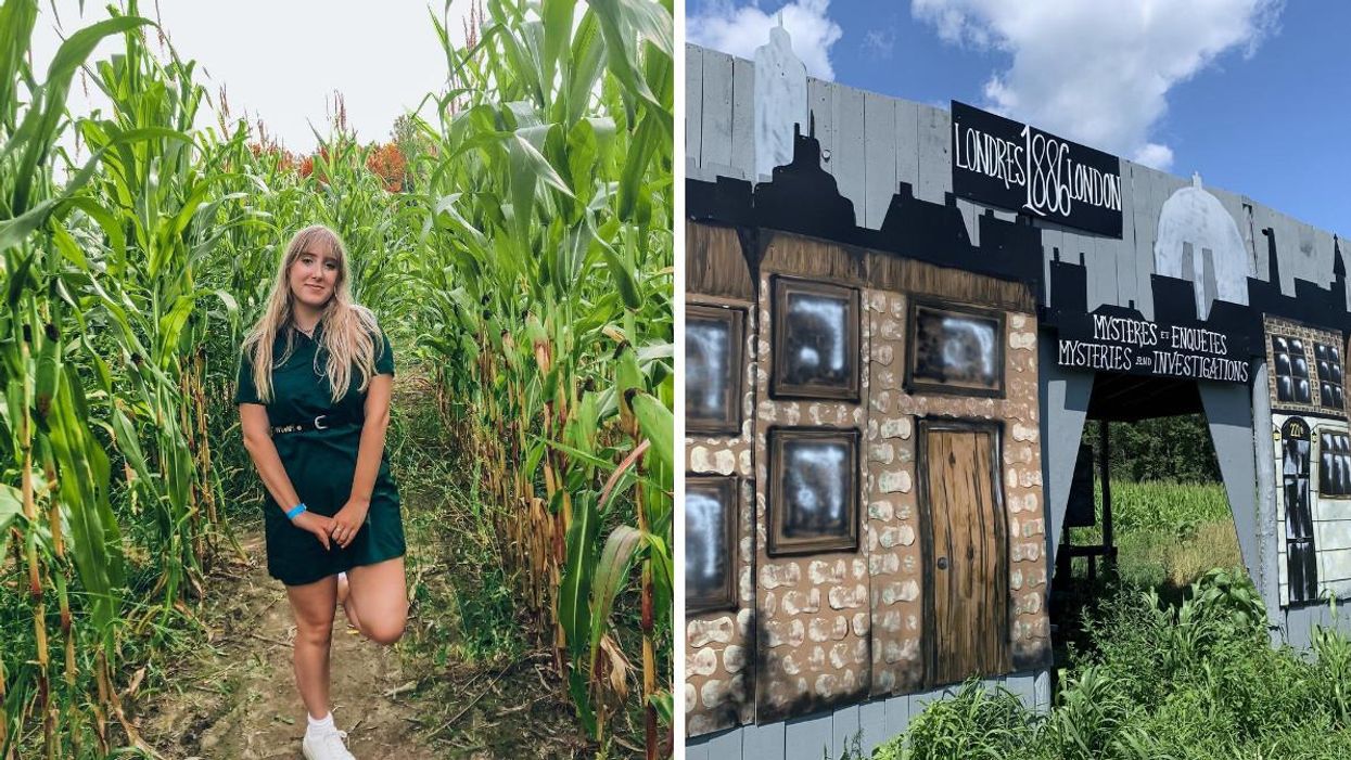 Le labyrinthe du verger Labonté se transforme en un jeu d'évasion