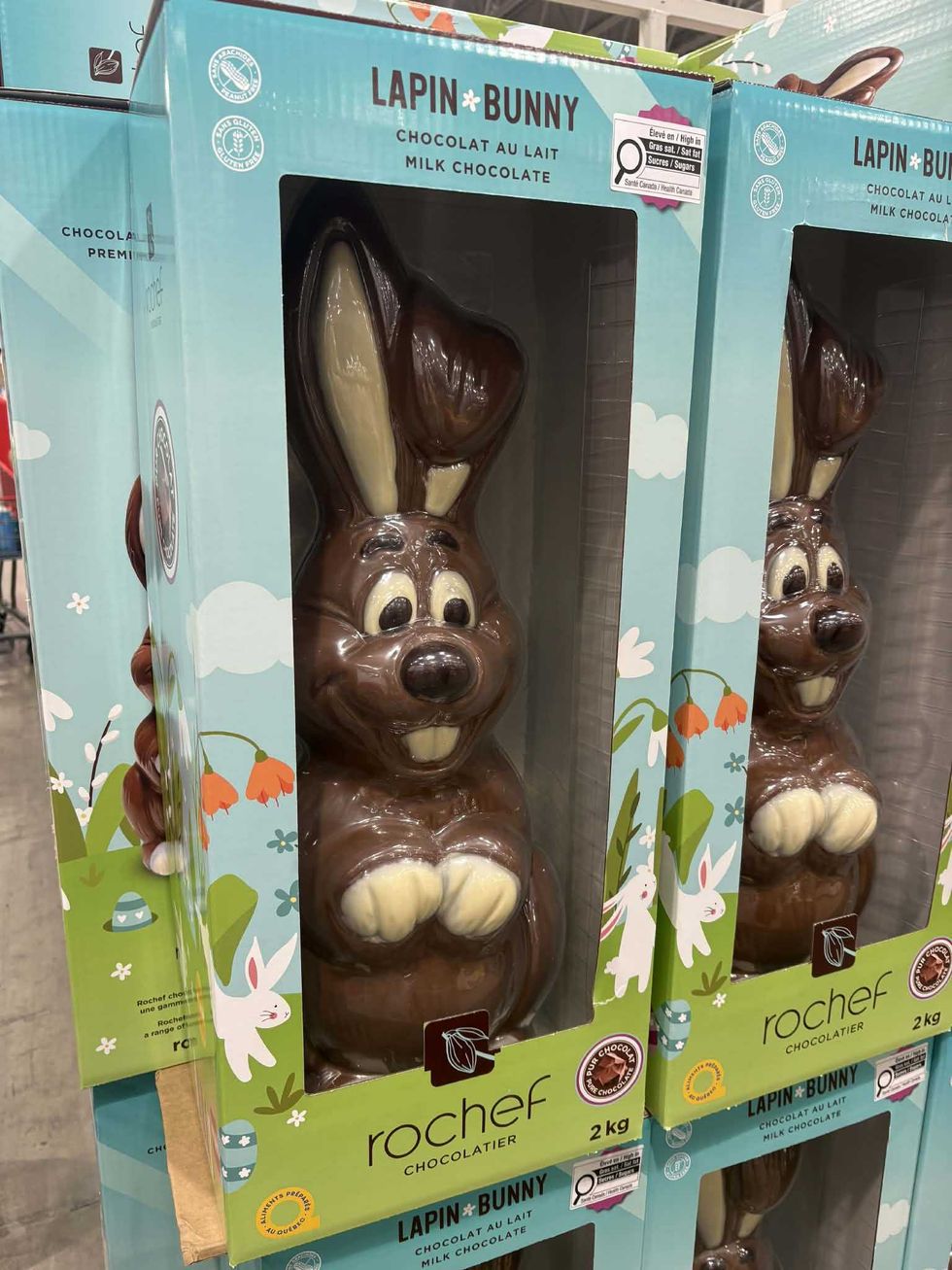 Le lapin en chocolat au lait Rochef chocolatier au Costco.