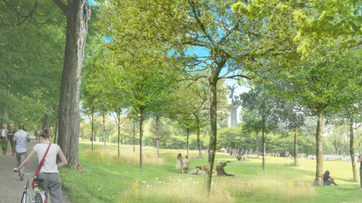 Le parc du Mont-Royal.