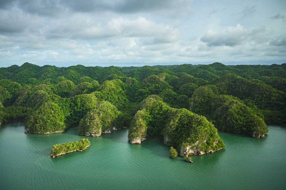 Le parc national de Los Haitises, vu de haut.