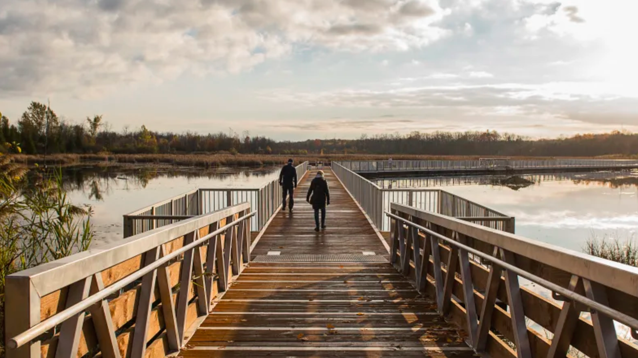 Le parc-nature du Bois-de-l’Île-Bizard.