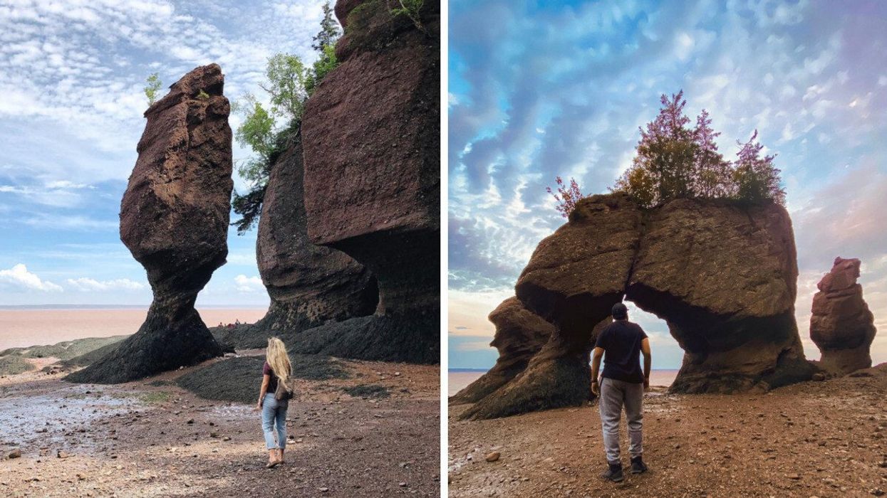 Le parc provincial des rochers Hopewell Rocks, pendant la marée basse.