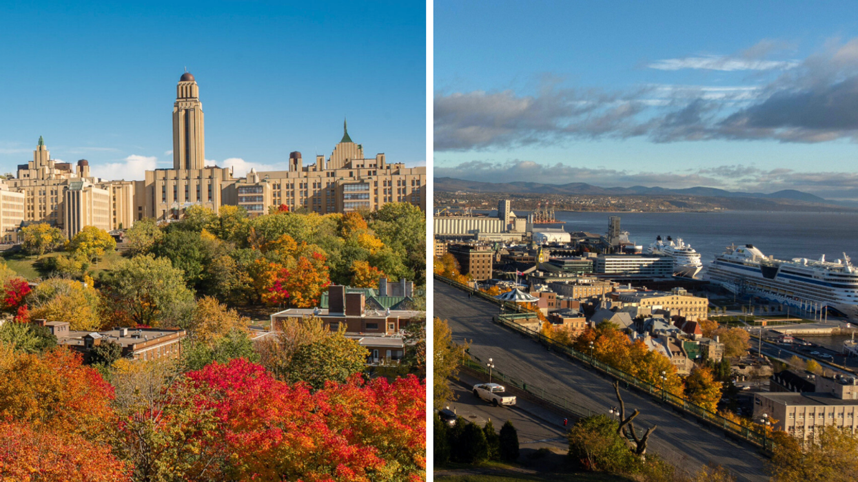 Le top 10 des meilleures villes au monde où étudier est dévoilé et il y en a 2 au Québec