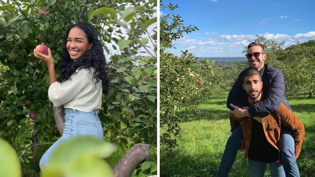 Le verger De La Savane. Droite : Le verger Trottier.
