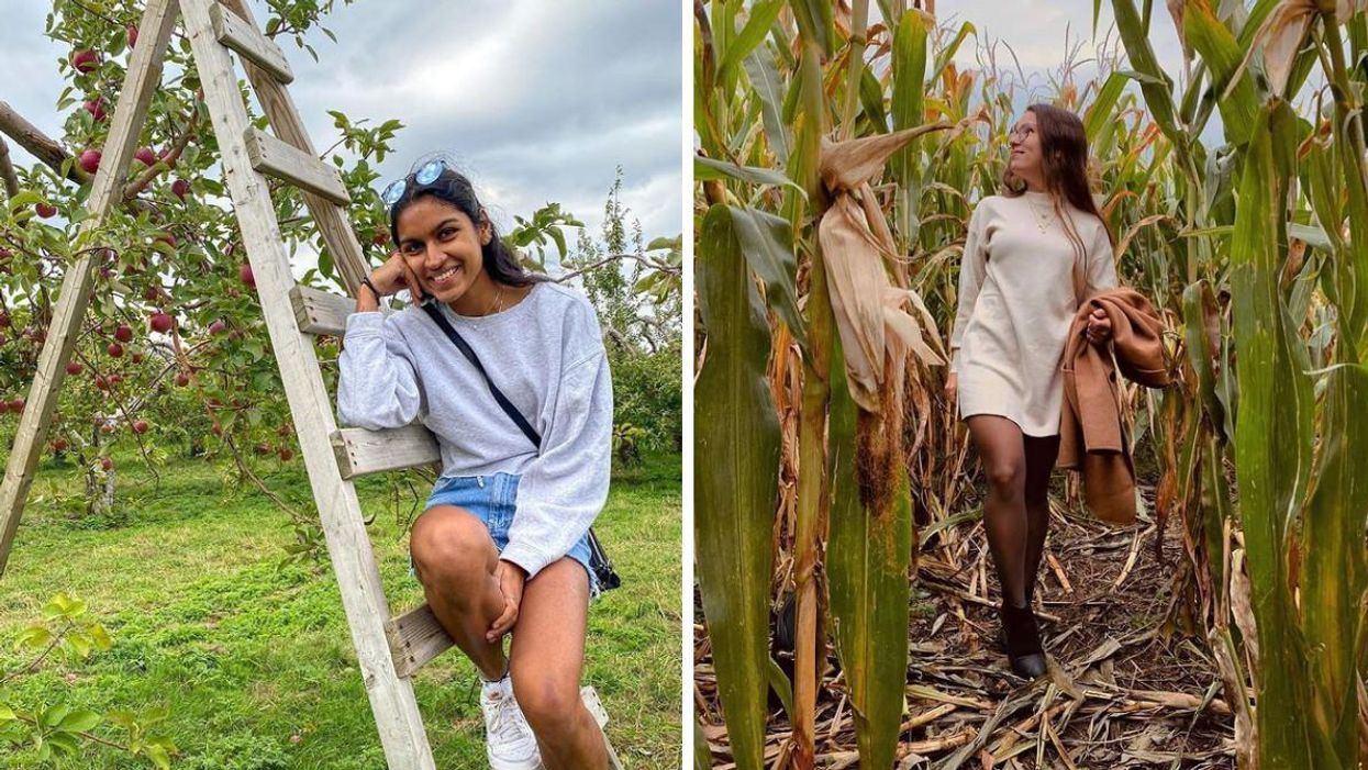 Le Verger Petit et fils : L'autocueillette donne accès à plein d'activités gratuites