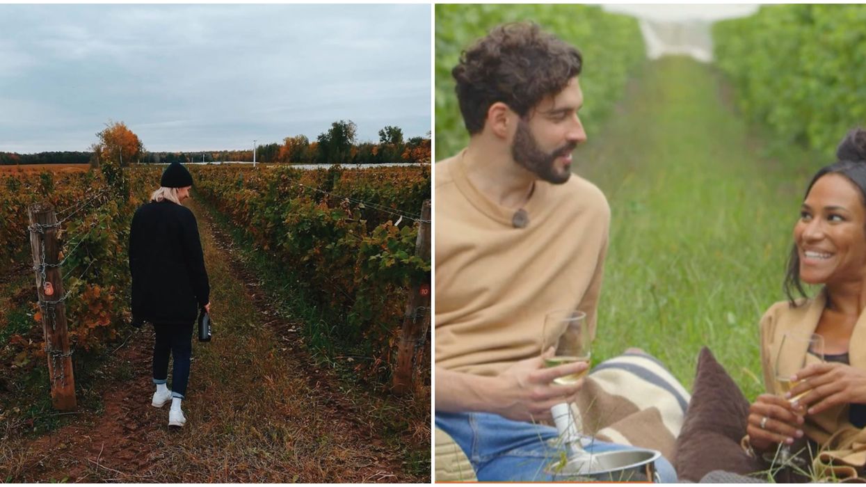 Le vignoble Domaine St-Jacques, là où les candidats d'OD ont eu une première « date »