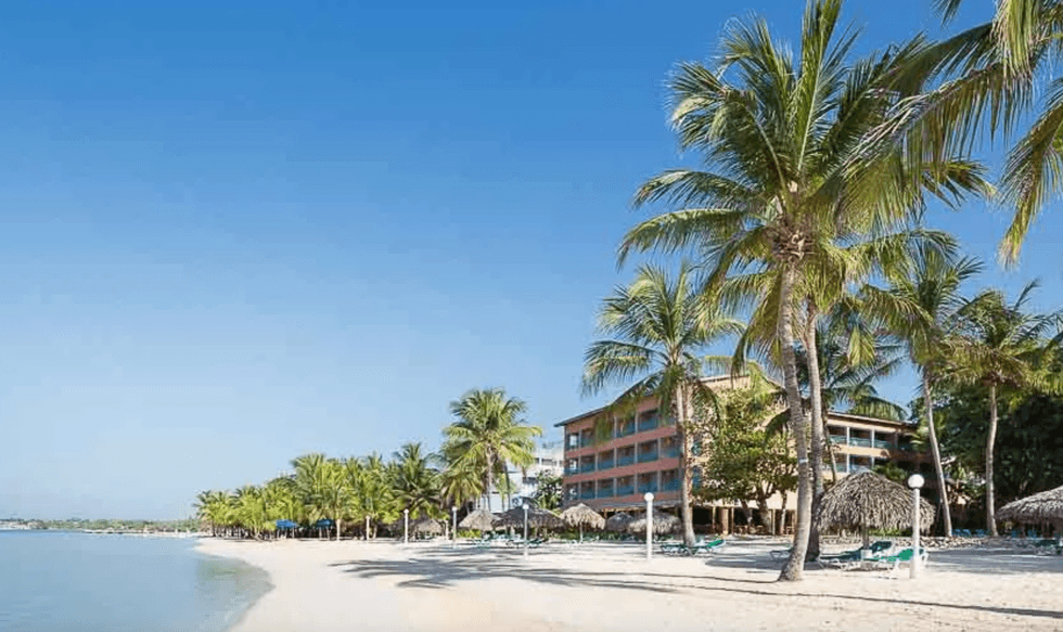 Le Whala Bocachica en R\u00e9publique dominicaine au bord de la plage bord\u00e9e de palmiers.