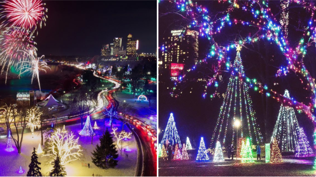 Le Winter Festival of Lights est de retour en 2020 et ça s'annonce magique