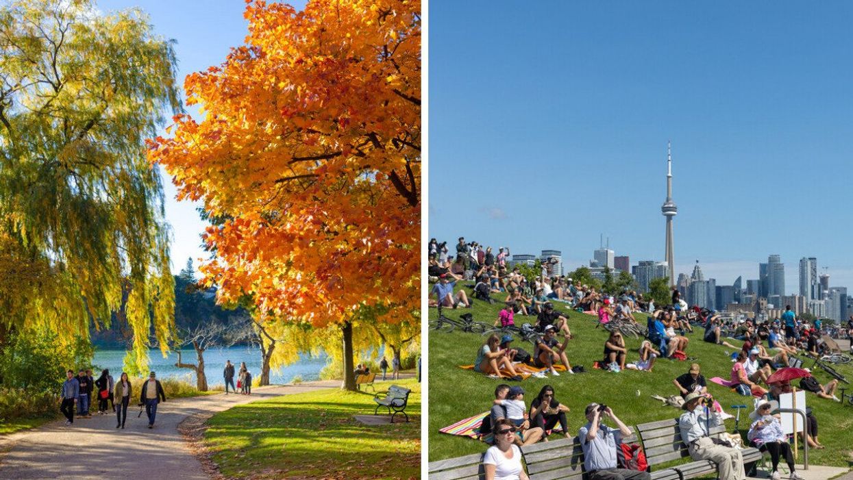 Leaves changing colours in Toronto's High Park. Right: People gathered in a field with the CN tower behind them.