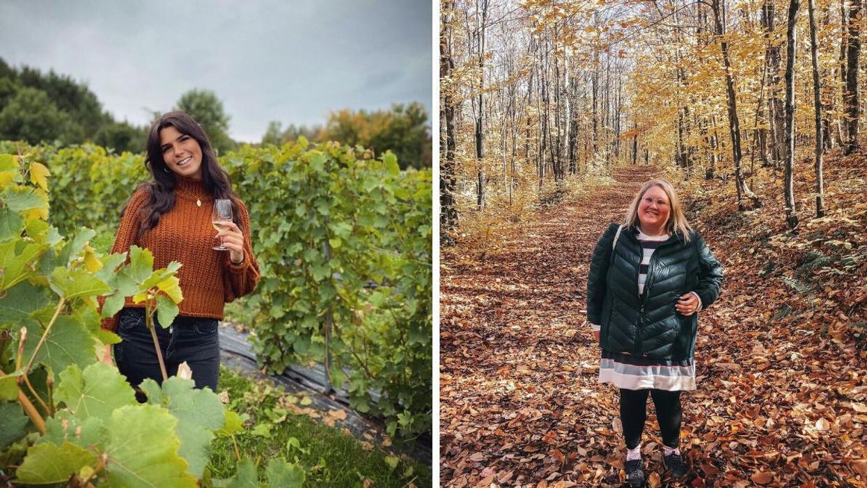 Les dégustations de vins du Vignoble Saint-Gabriel.