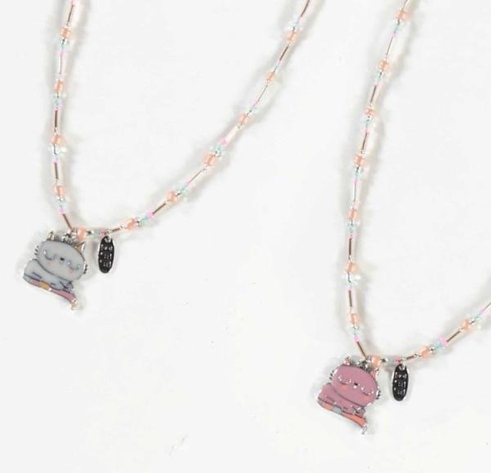 Les deux colliers vis\u00e9s par le rappel.