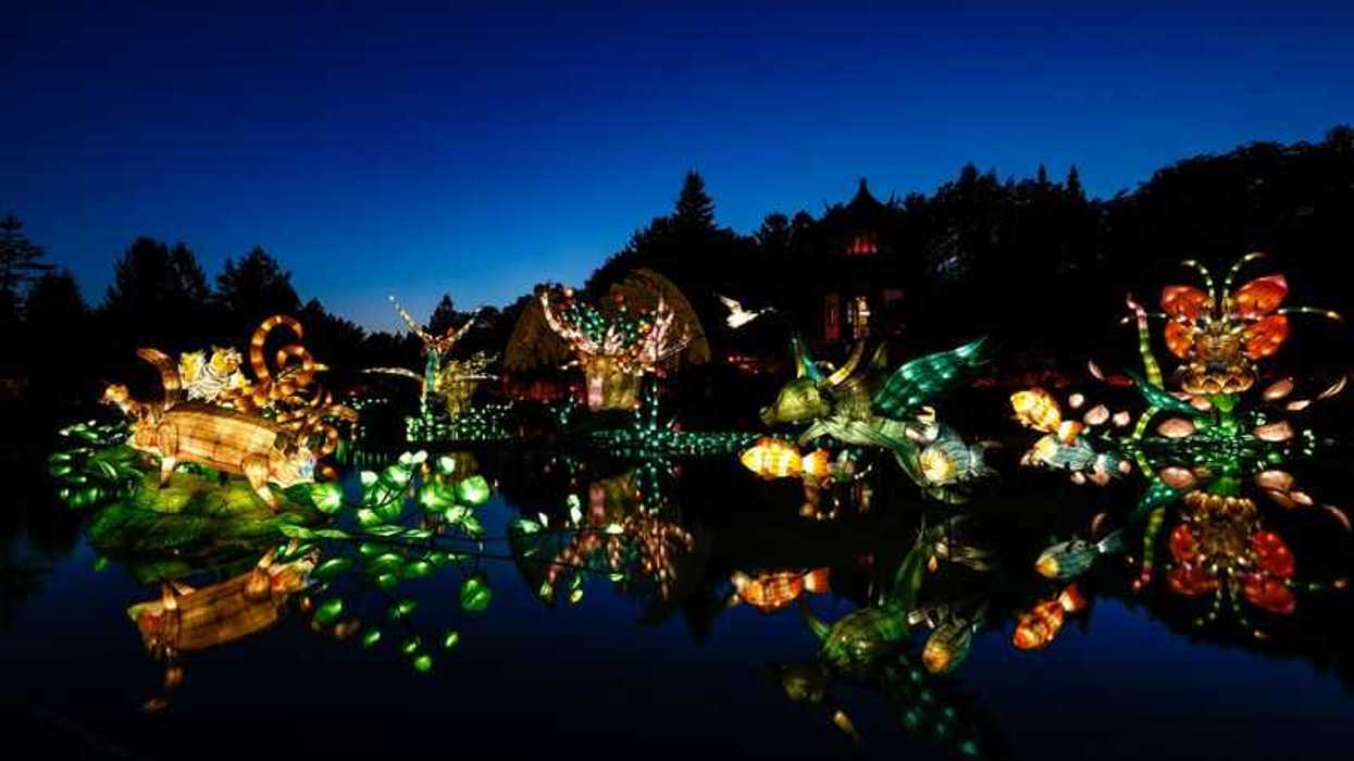 Les Jardins de lumière de Montréal au Jardin botanique.