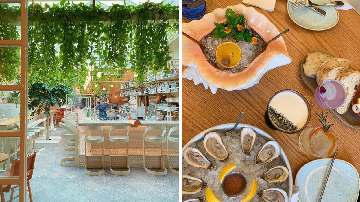 Les meilleurs endroits où bien manger et sortir à Montréal selon 6 «PR» réputés en ville