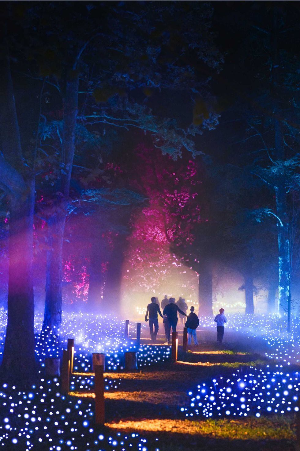 Les projections lumineuses dans le cimeti\u00e8re Notre-Dame-des-Neiges.