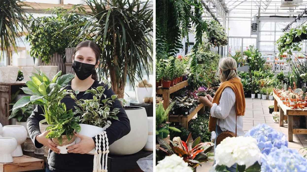 Les Serres et Jardins Girouard. Droite : Le Centre de Jardin Brossard.