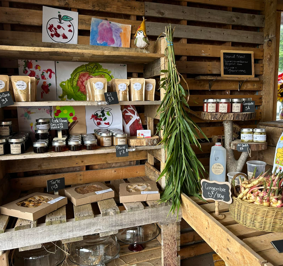 Les Trouvailles de No\u00ebl de L\u00e9vis.