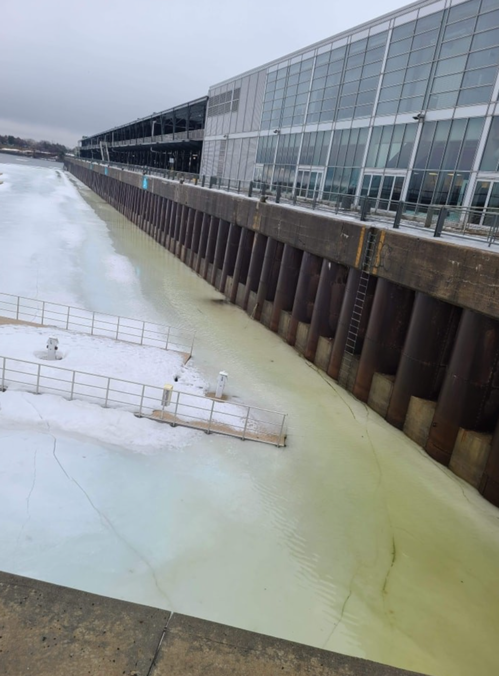 Lieu o\u00f9 le renard est bloqu\u00e9.