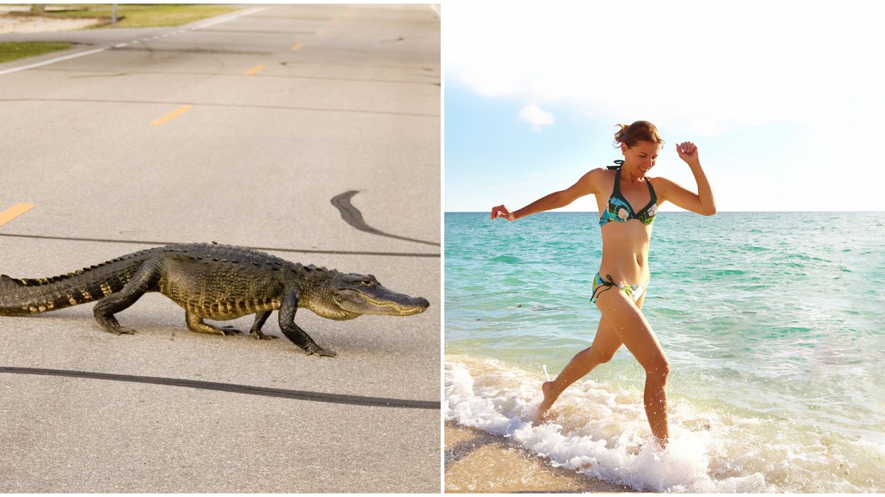 Life In Florida #FloridaLife On Twitter Gives Hilarious Sunshine State Living Insight