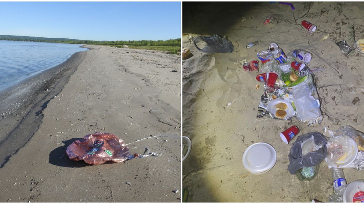 Littering At Ontario's Provincial Parks Is On The Rise & Staff Can’t Keep Up