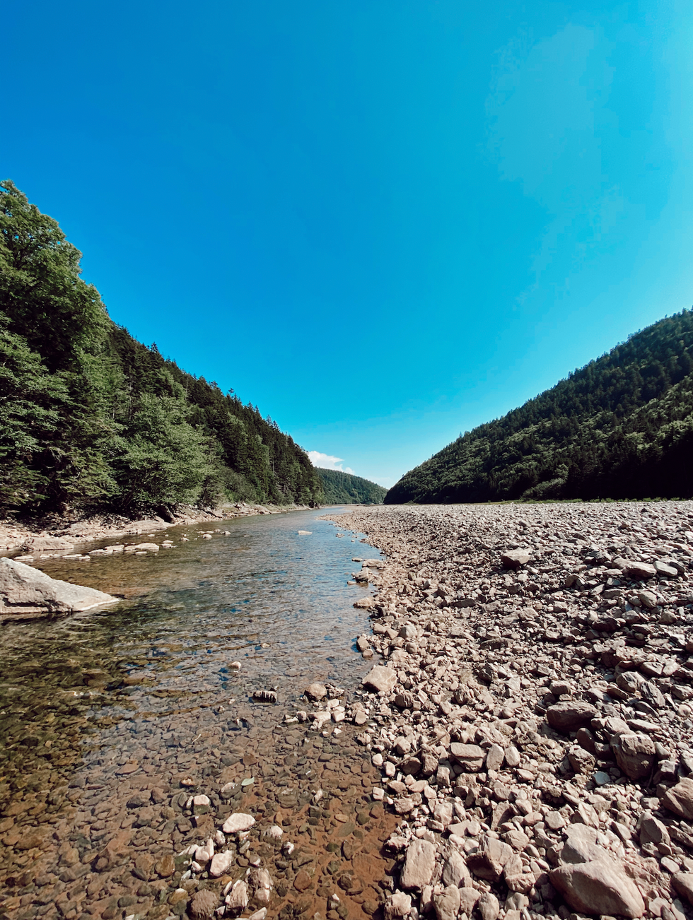 Little Salmon in Fundy.