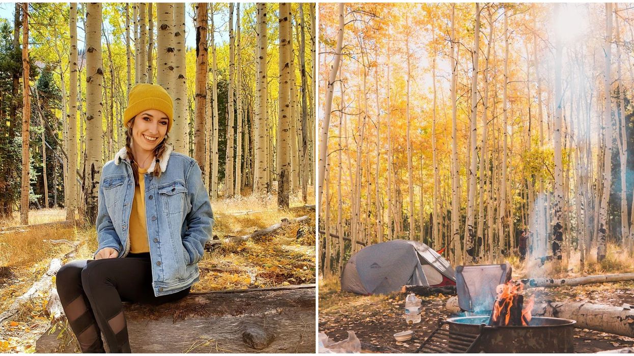 Lockett Meadow Campground In Flagstaff Turns Into A Topaz Dream Every Fall