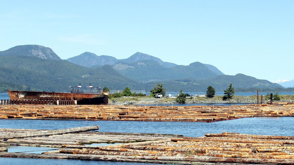 Log booms on the water in Sayward, B.C.