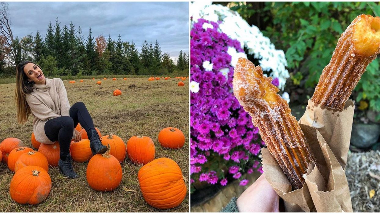 Log Cabin Orchard Near Ottawa Has Giant Apple Cinnamon Churros & Perfect Pumpkins
