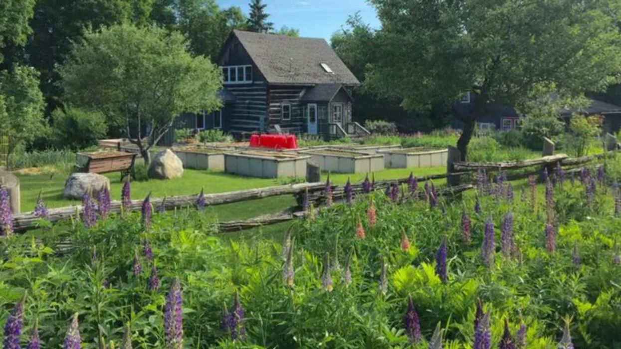 Log home for sale in Ontario.
