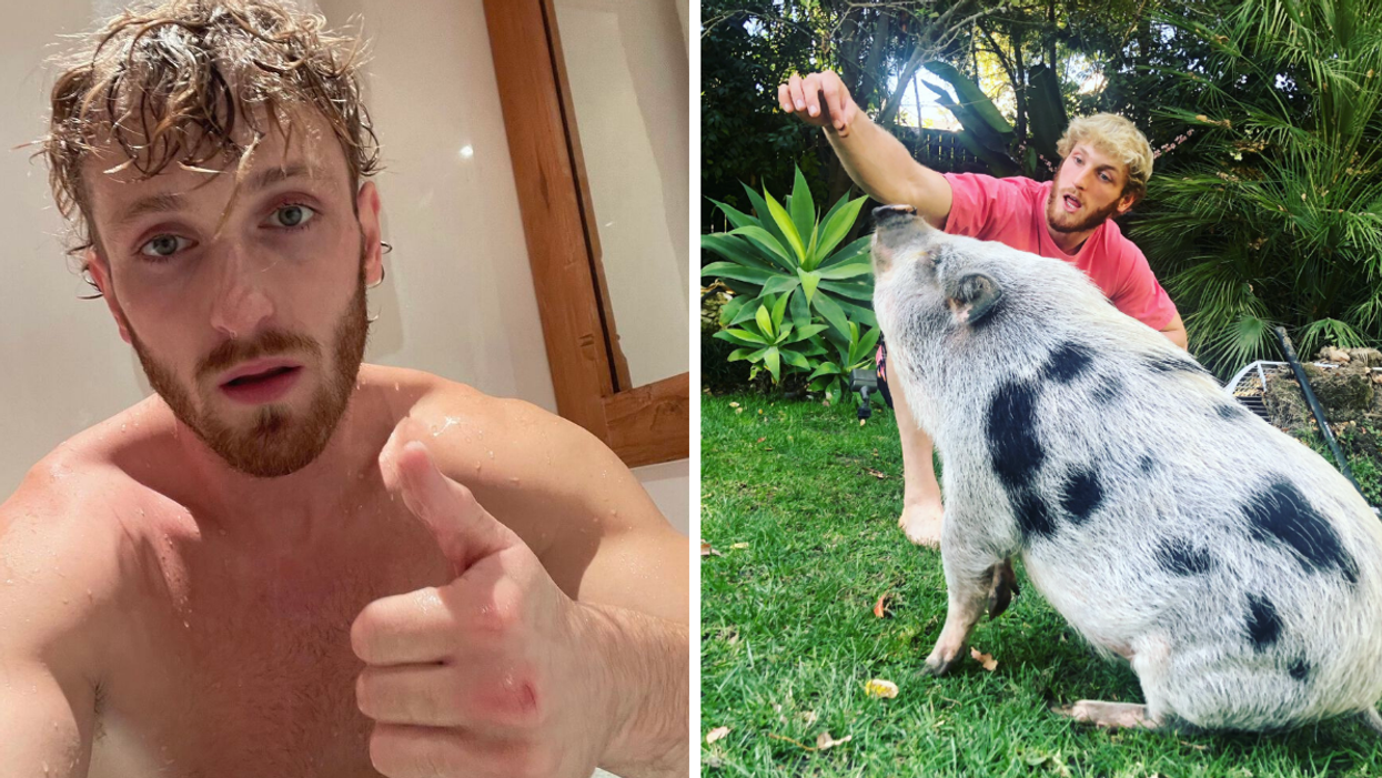 Logan Paul holding a thumbs up sign. Right: Paul with Pearl the pig.