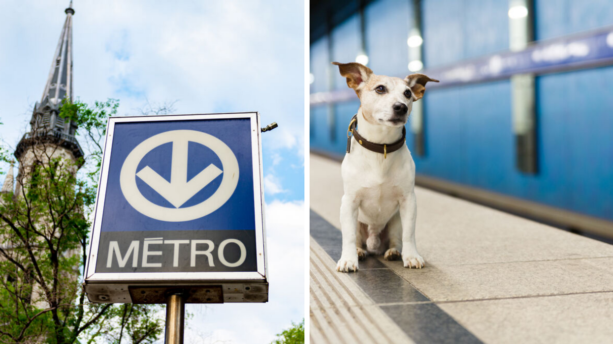 Logo de la STM. Droite : Chien dans le métro.