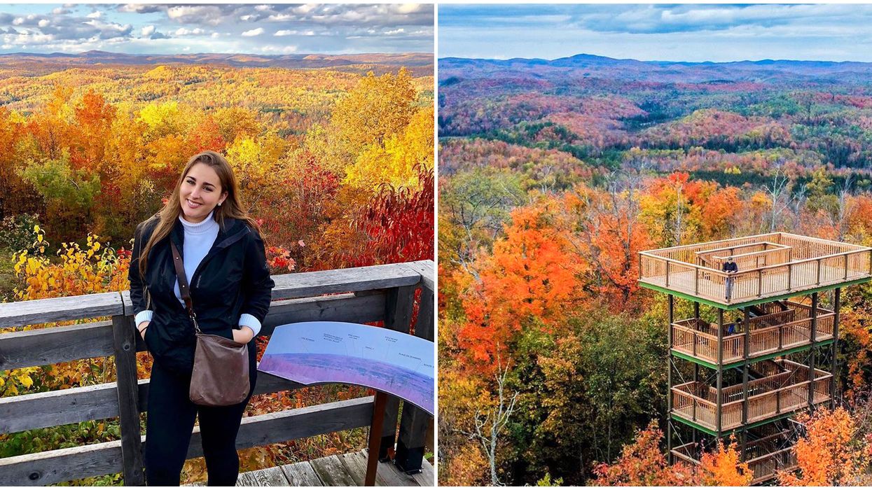 Lookout Tower Near Ottawa Will Give You The Best Fall Views