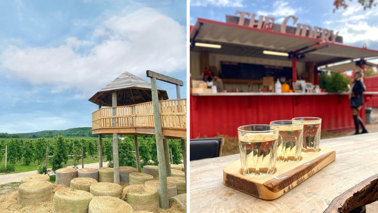 Lookout tower overlooking the Niagara Escarpment. Right: Flight of hard cider at an Ontario farm.