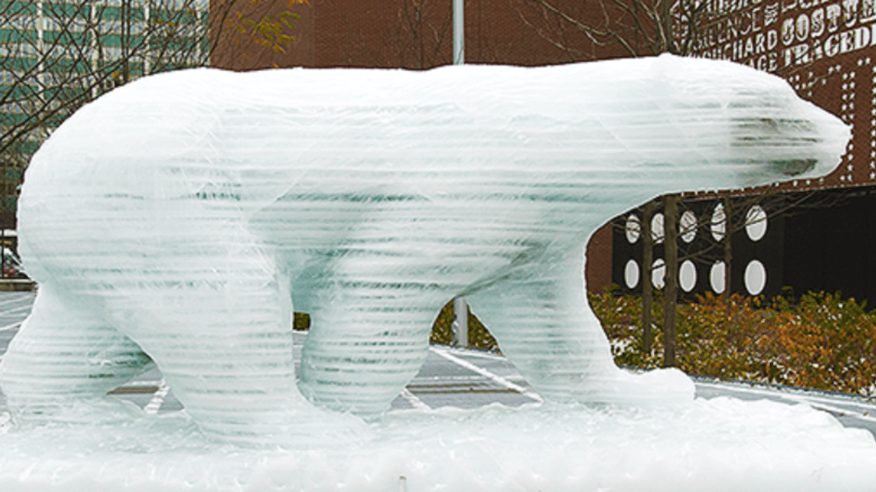 Filtro A Y Acciaio Inox DN15 1/2 - Per Acqua, Gas E Vapore | Filtrazione Tubazioni - Foto 2