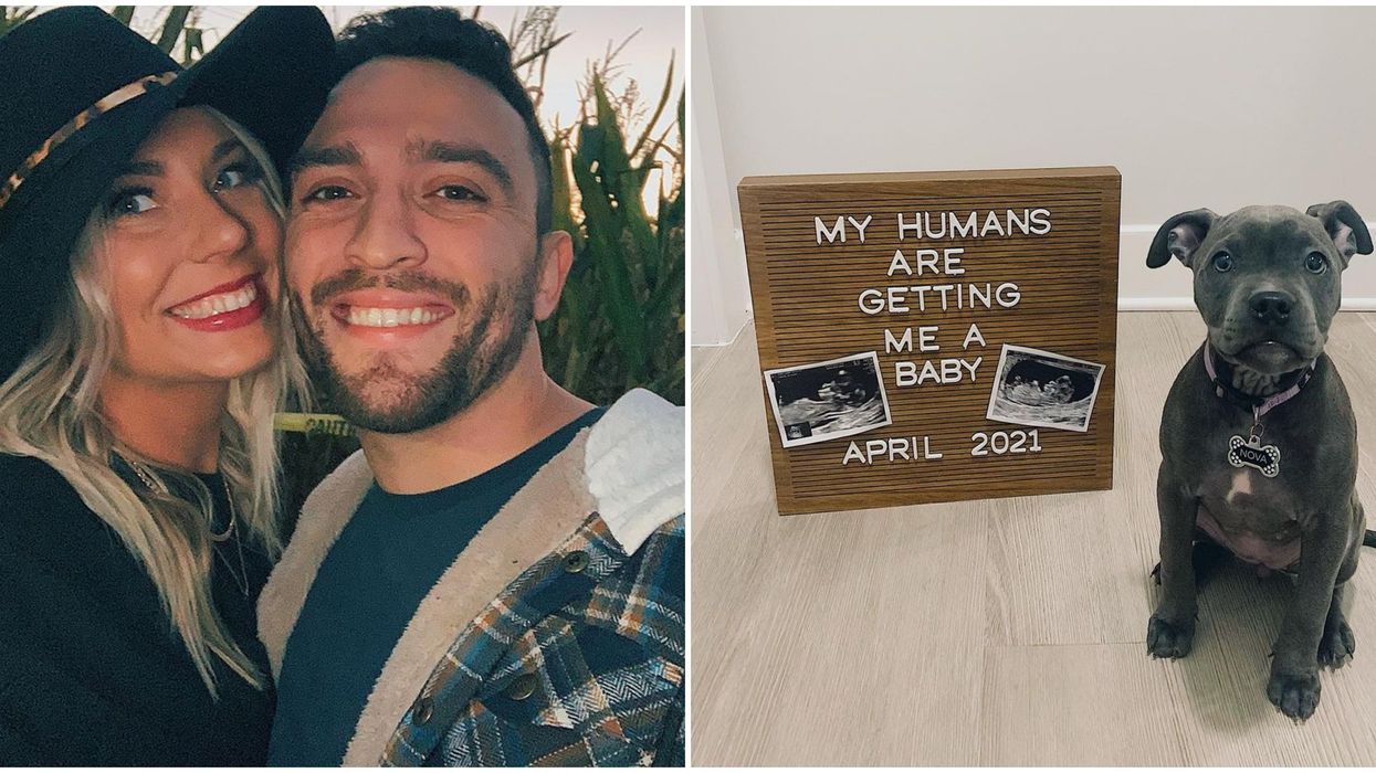 Love Is Blind Atlanta Mark Cuevas Pregnant