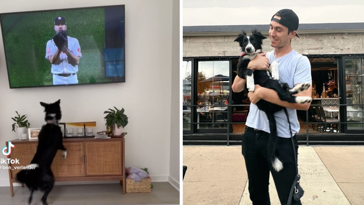 Lyla watching Justin Verlander pitch on TV. Right: Ben Verlander holding Lyla.