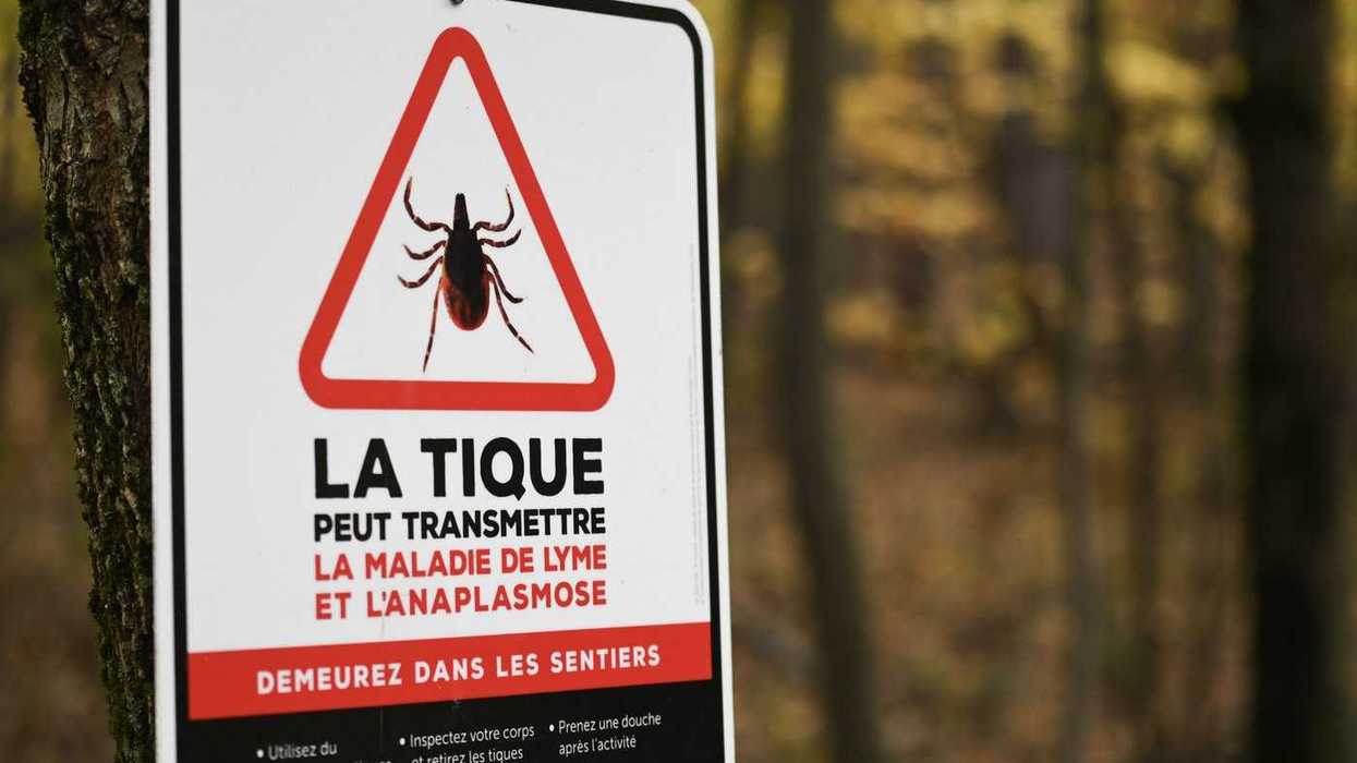 Lyme disease on the rise in Montreal