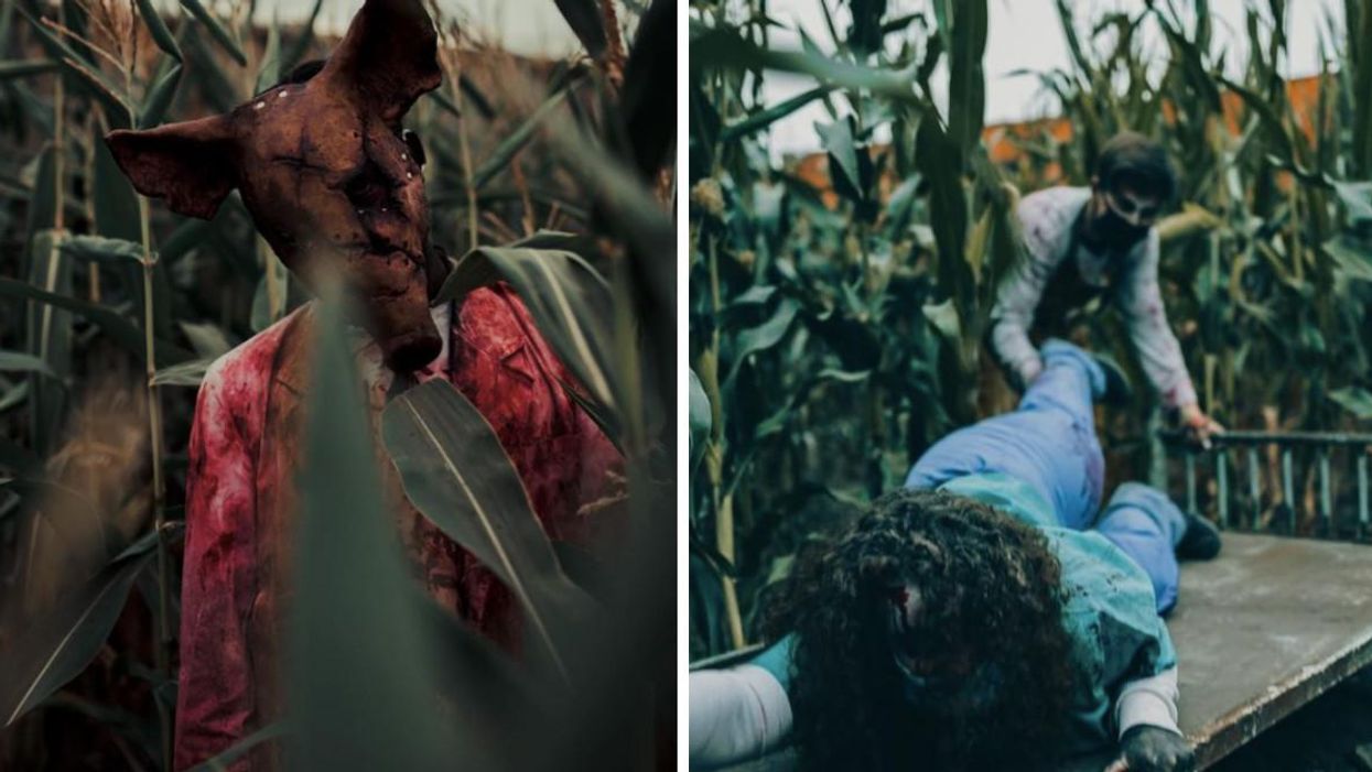 Maan Farms' Corn Maze Is So Scary You Have To Sign A Waiver In Case Of Heart Attack