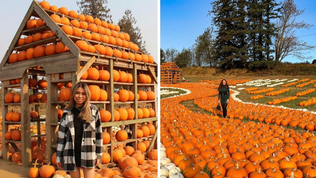 Maan Farms Country Experience & Estate Winery. Right: Pumpkin patch in B.C.