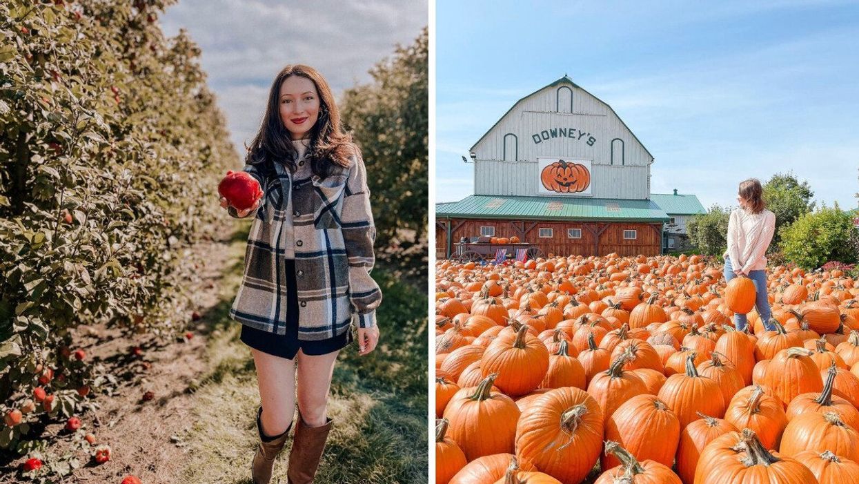 Madeline apple picking. Right: Downey's Farm.