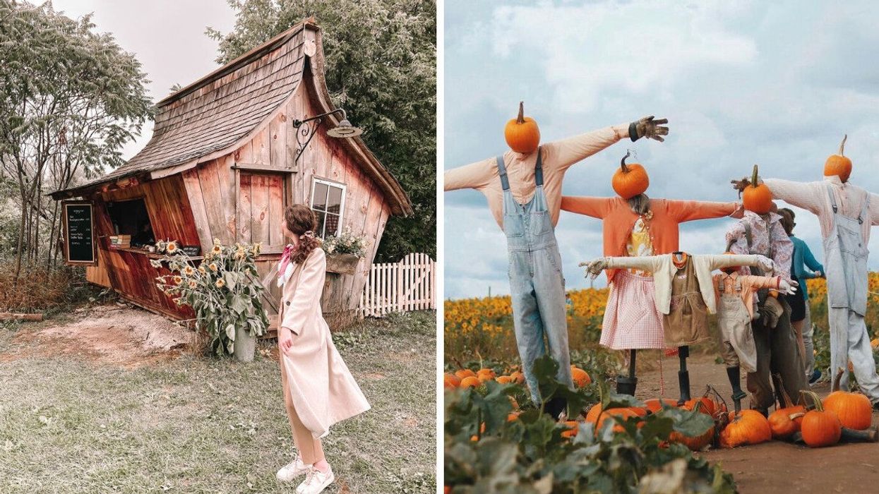 Madeline at Carl Laidlaw Orchards. Right: Scarecrows.