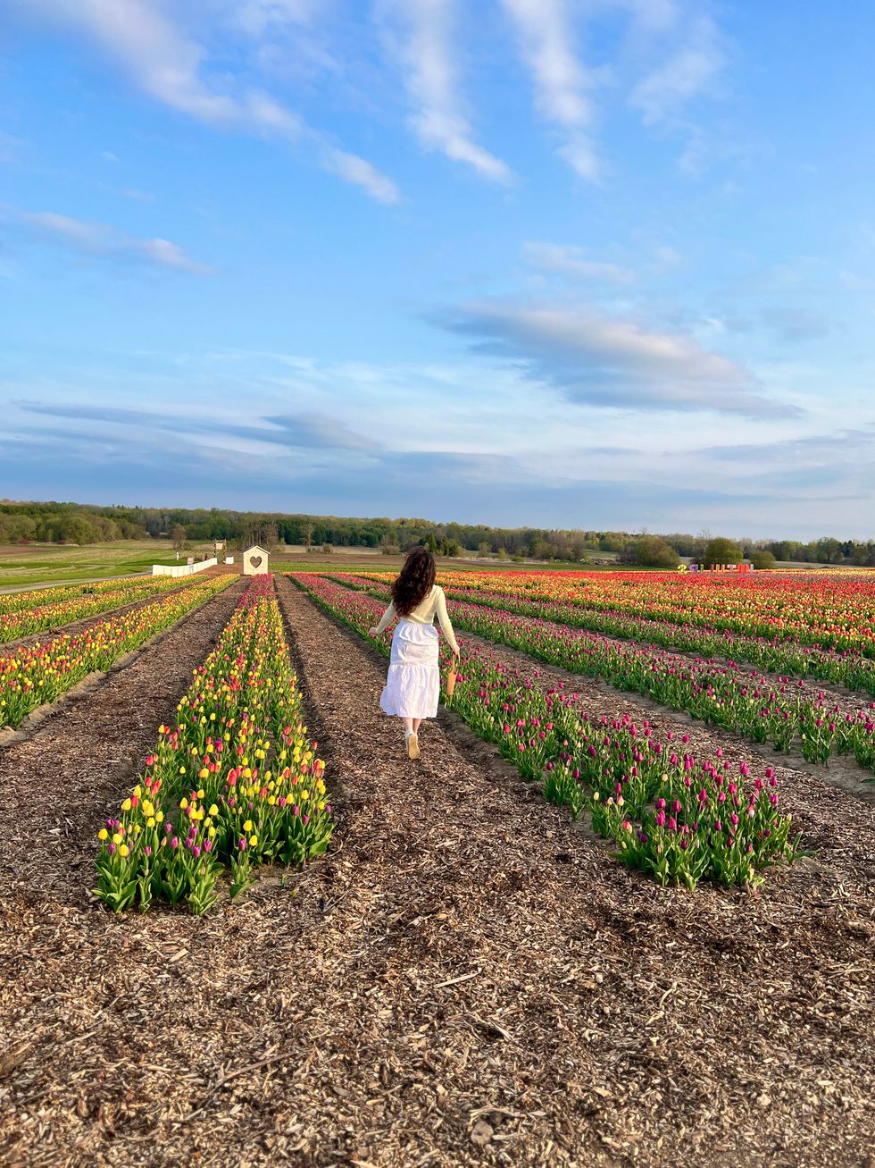 Madeline at Pingle's Tulip Days.