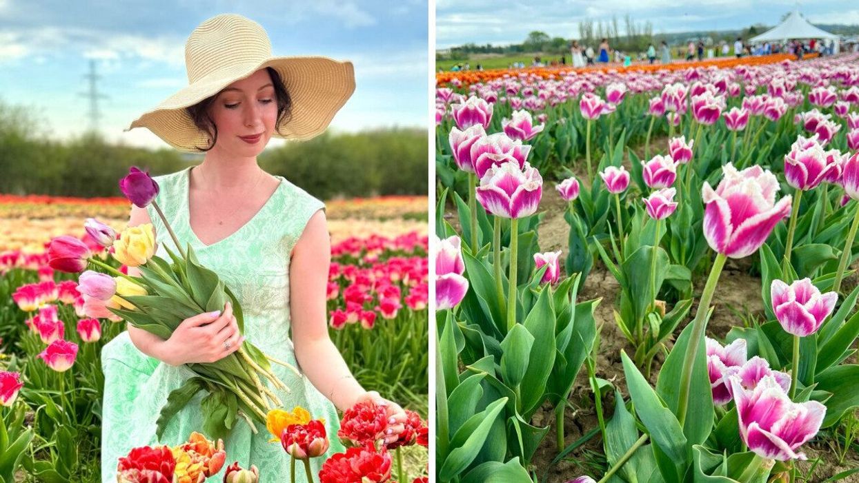 Madeline holding tulips. Right: Pink and white tulips.