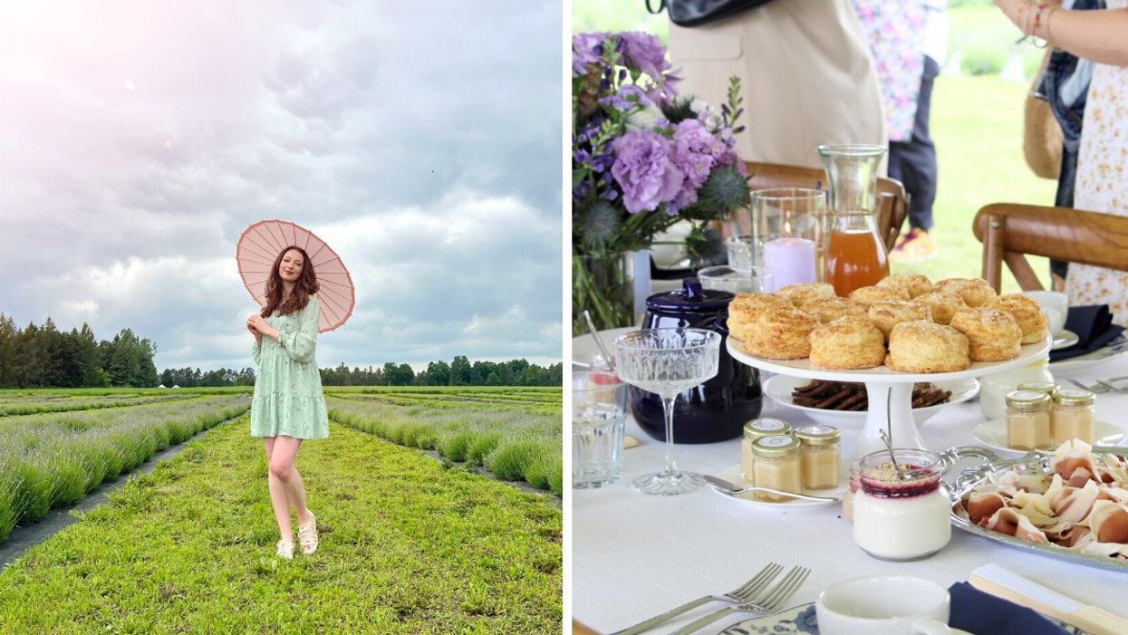 Madeline standing in a lavender field. Right: Scones on a platter.