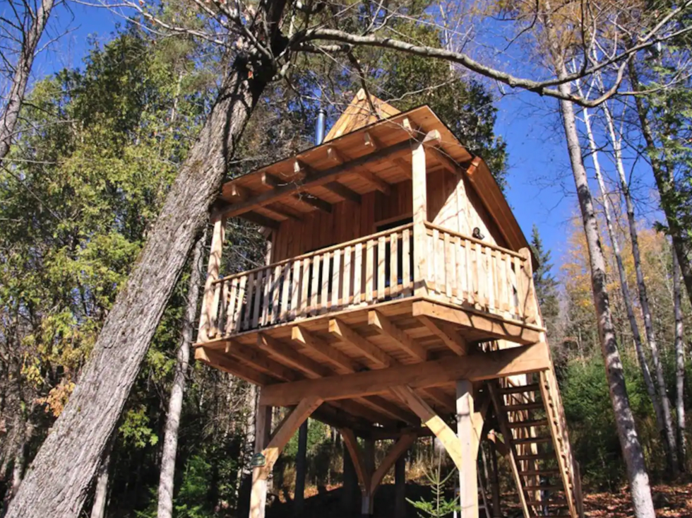 Maison \u00e0 louer dans les arbres.