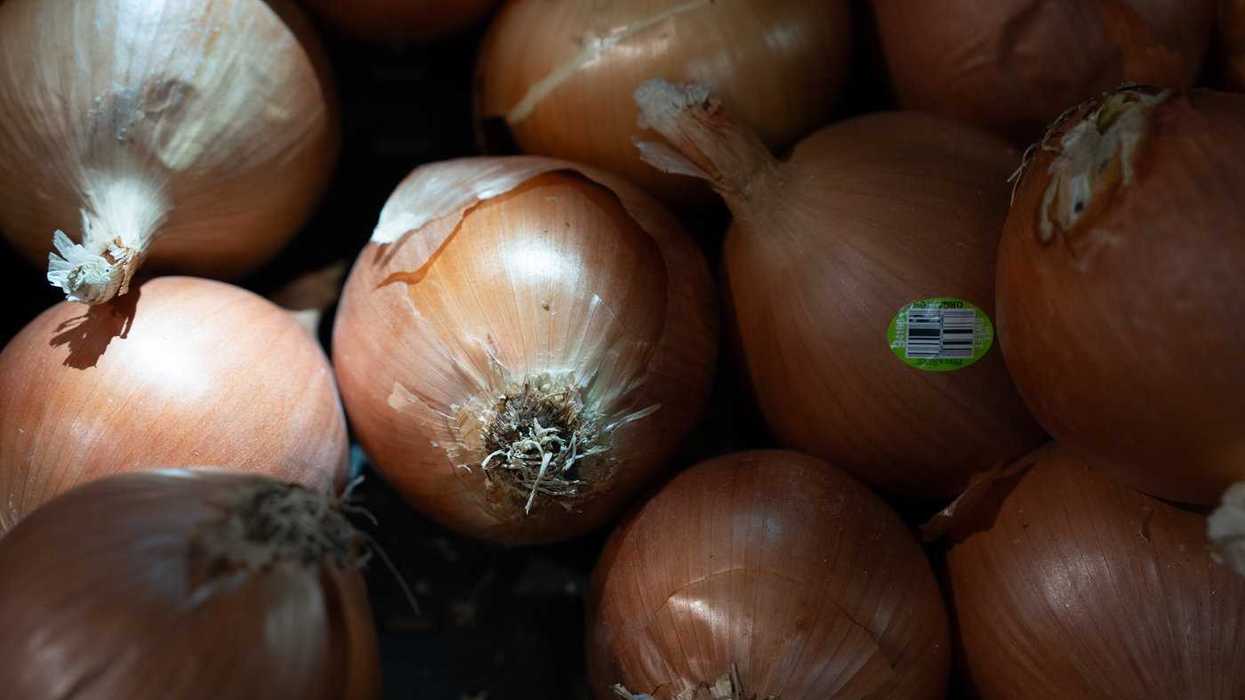 Major new study on Quebecers' eating habits
