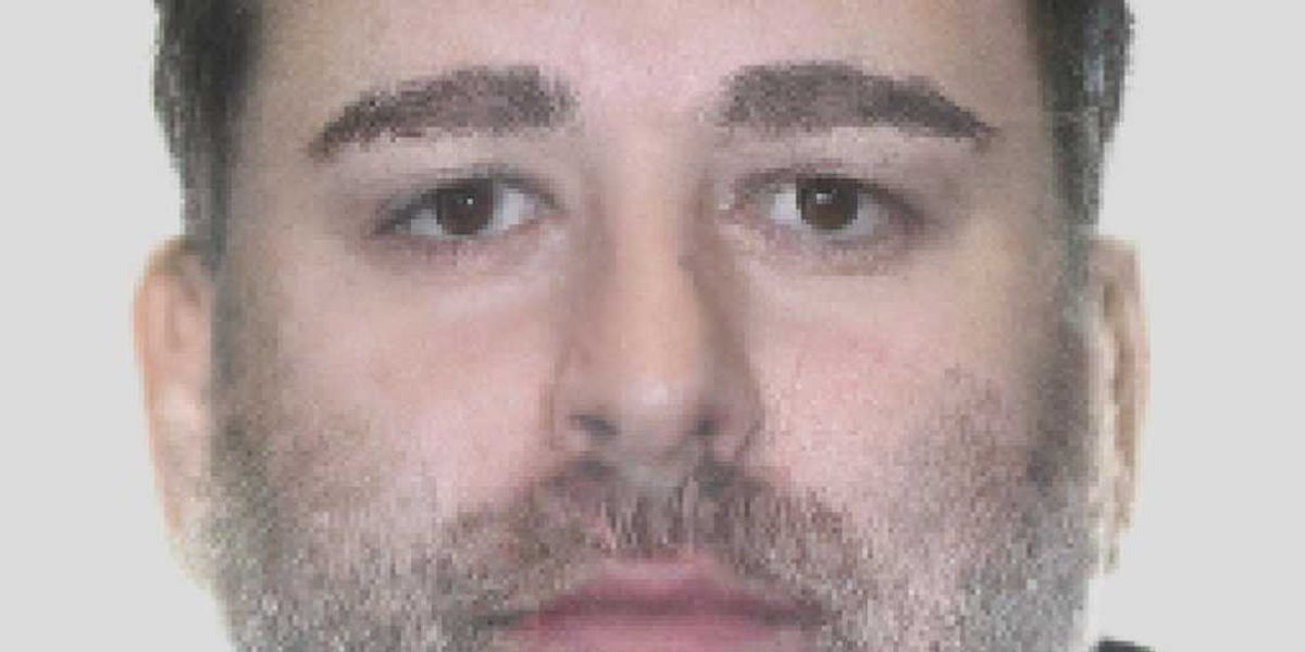 Man accused in Ryan Wedding case seeks bail review Man accused in Ryan Wedding case seeks bail review