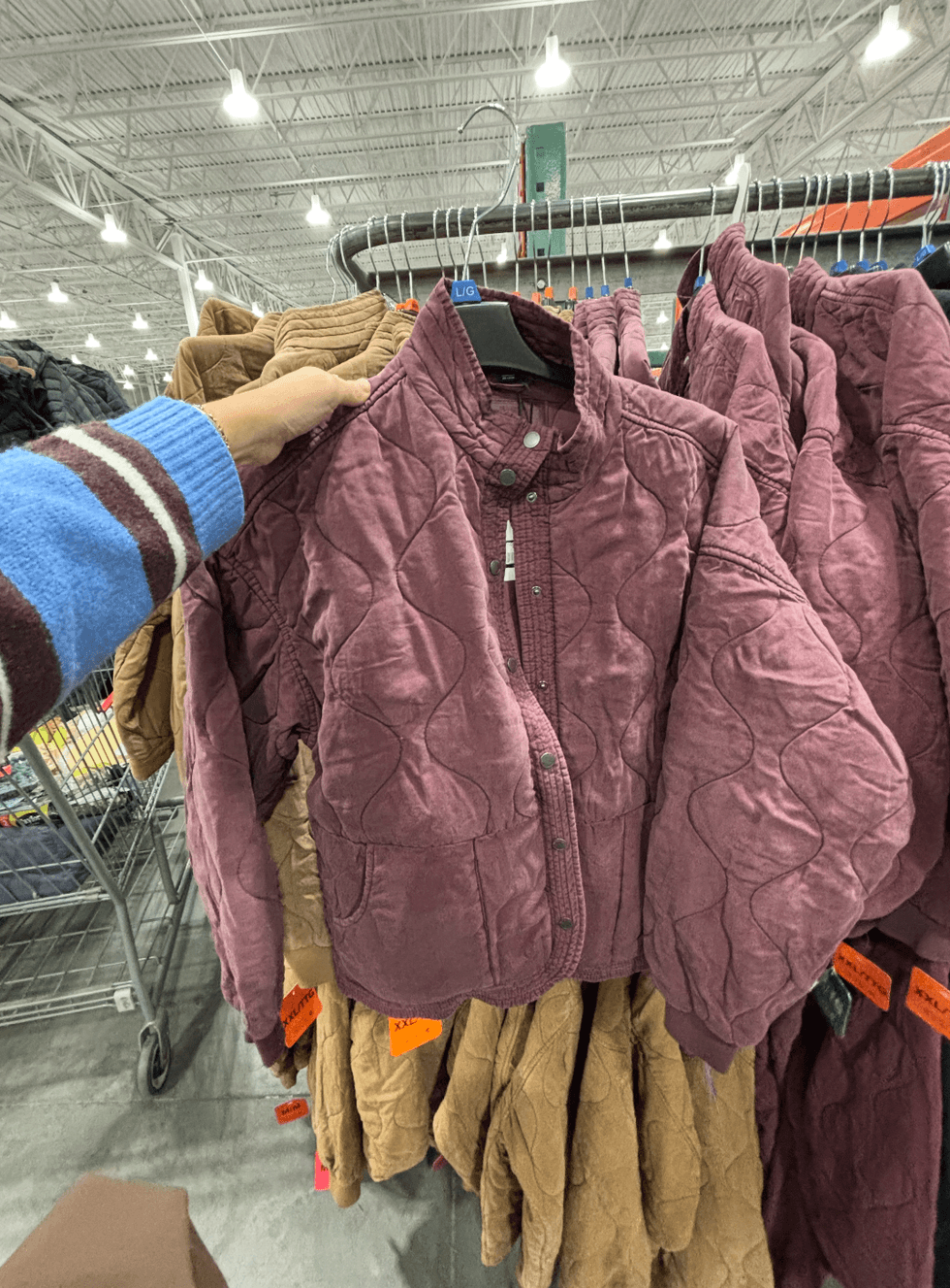 Manteau matelass\u00e9 pour femmes Blank NYC en vente chez Costco.