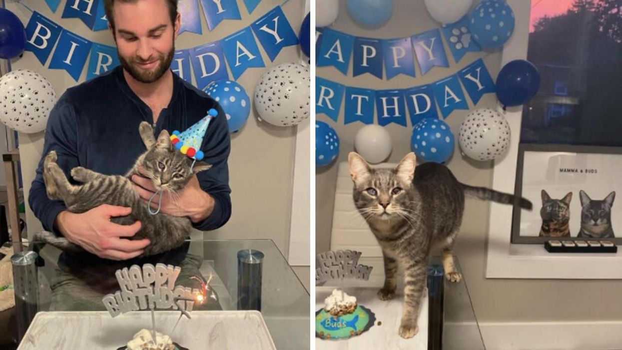 Maple Leaf Player Jack Campbell Threw A Birthday Party For His Cat & It's A Whole Vibe